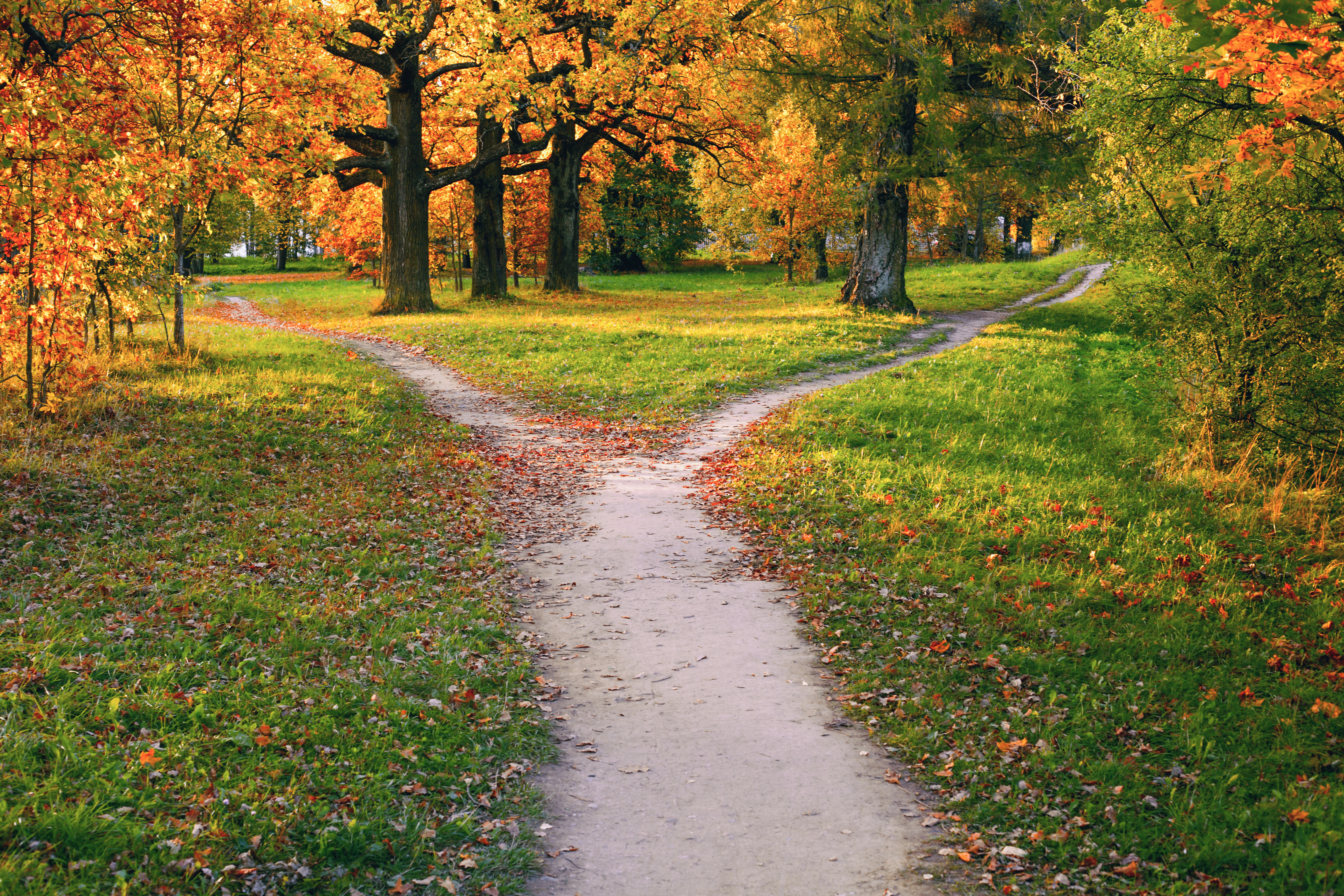 Where Higher Ed and Industry Must Meet